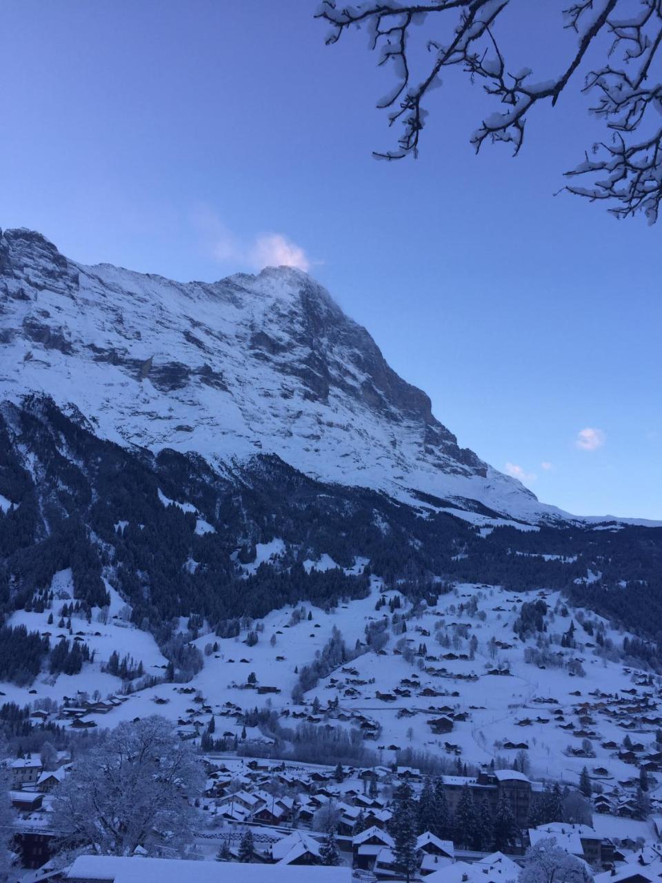 Chalet Gruenegg Grindelwald Exterior foto